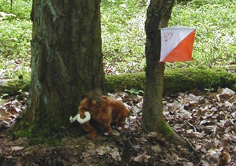 Manni von der Peilgruppe Neandertal am Fuchs 