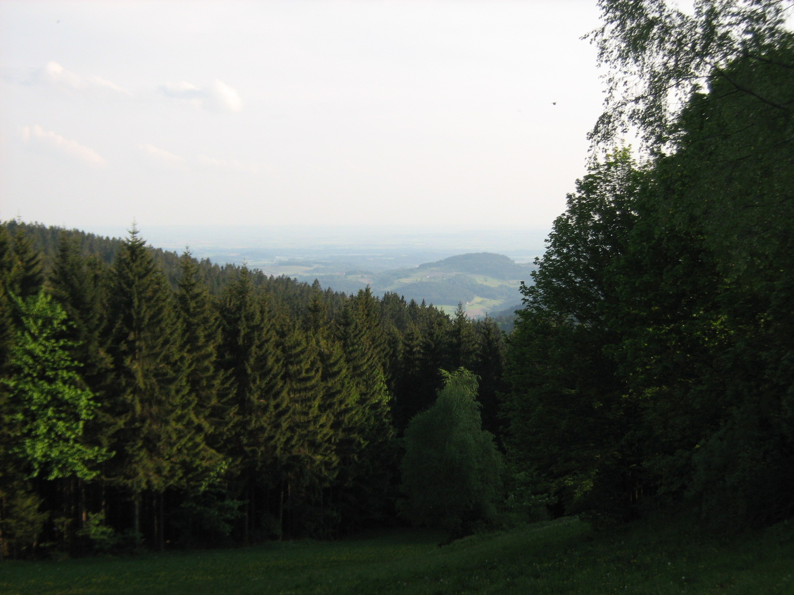 Blick von St. Englmar